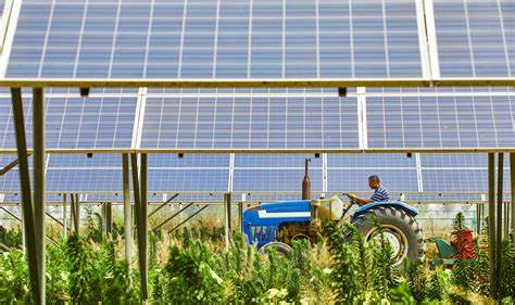 Agricultural Solar Solutions